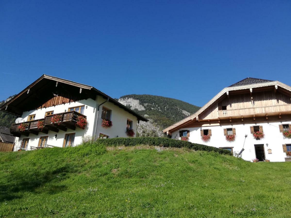 Appartement Berningerhof à Saint Wolfgang Extérieur photo